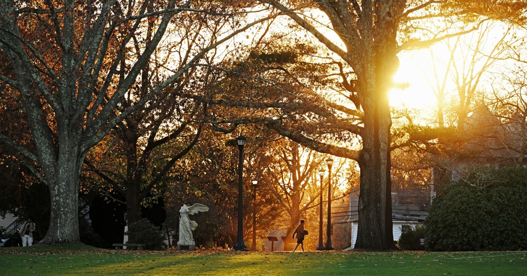 Campus lawn with trees and walkway at sunset with a person walking